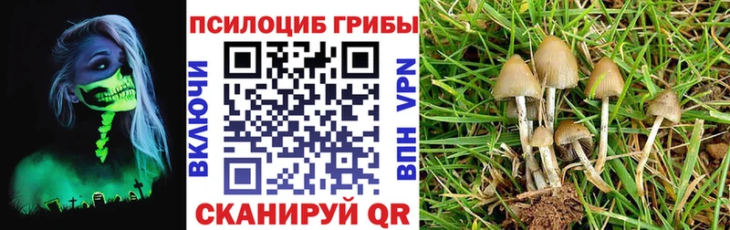 Псилоцибиновые грибы MAGIC MUSHROOMS Нытва